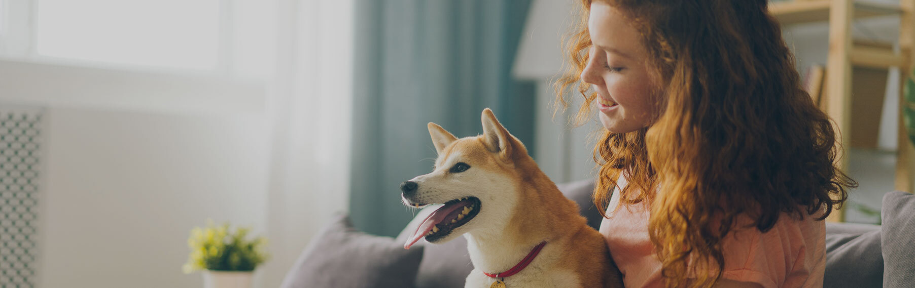A woman sitting on a sofa at home beside her Shiba Inu