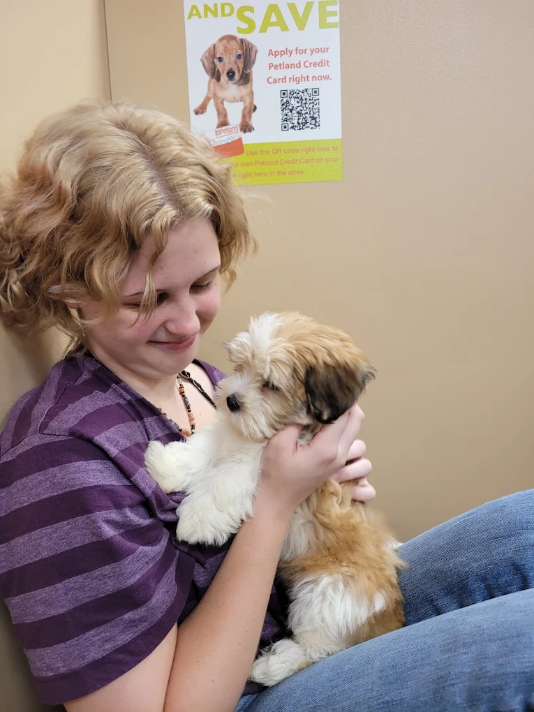 Petland Murfreesboro puppies